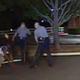 Dash-cam video footage of an August 2013 incident shows Dover, Del., Police Cpl. Thomas Webster IV kicking Lateef Dickerson in the face. Dickerson suffered a broken jaw.
Fox News Screenshot